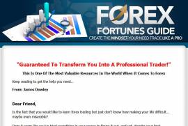 Forex Fortunes Guide